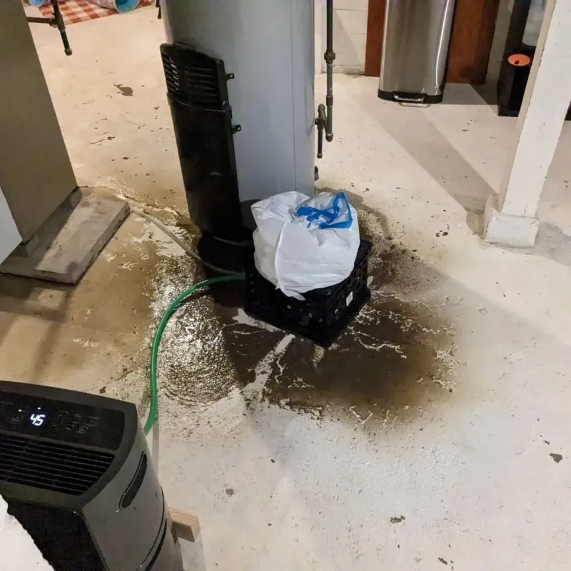 Sewage Backup Cleanup Service in McCloud, CA